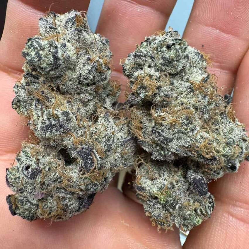 Purple Voodoo THCA Flower - Image 3