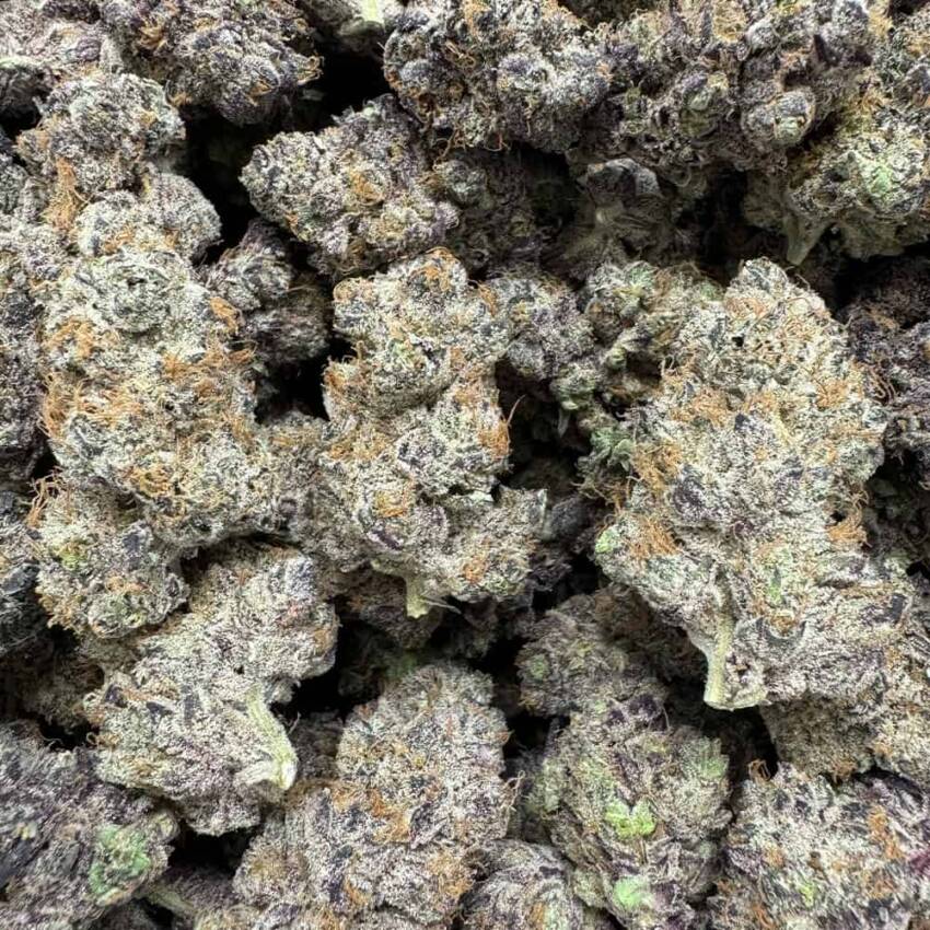 Purple Voodoo THCA Flower - Image 2